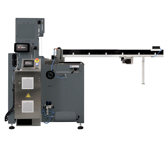 Machine for the automatic packaging of DS PACK sorted products